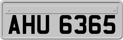 AHU6365
