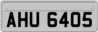 AHU6405
