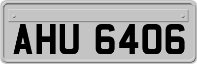 AHU6406