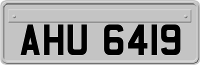AHU6419