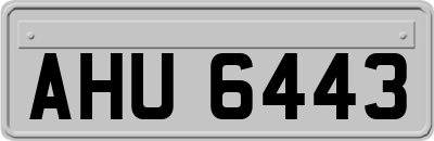 AHU6443