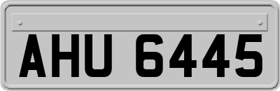 AHU6445