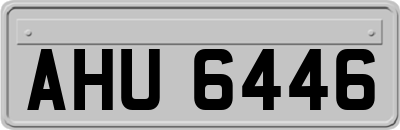 AHU6446