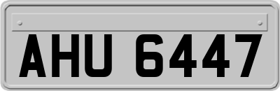 AHU6447
