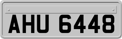 AHU6448