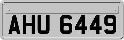 AHU6449
