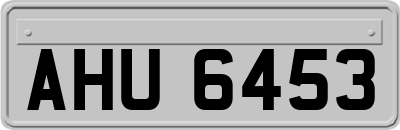 AHU6453