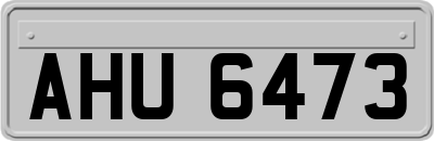 AHU6473