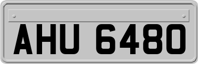 AHU6480