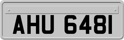 AHU6481