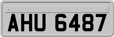 AHU6487
