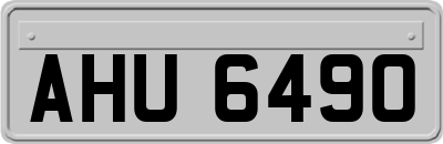 AHU6490