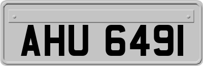 AHU6491