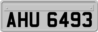 AHU6493
