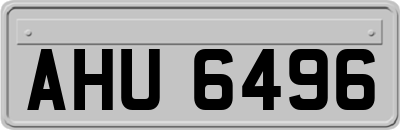 AHU6496
