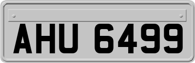 AHU6499