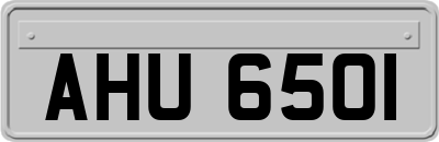 AHU6501