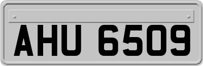 AHU6509
