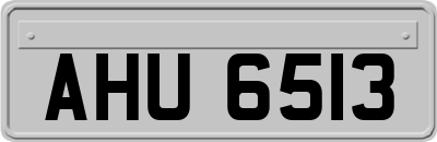 AHU6513