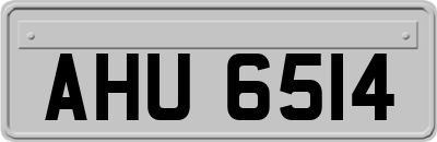 AHU6514