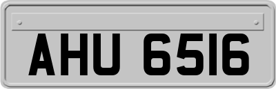 AHU6516