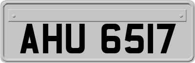 AHU6517