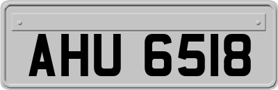 AHU6518