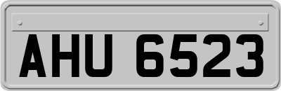 AHU6523