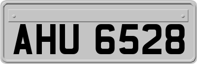 AHU6528