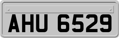 AHU6529