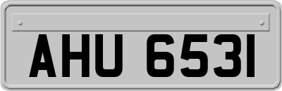 AHU6531