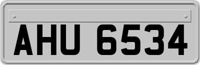 AHU6534