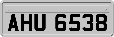 AHU6538