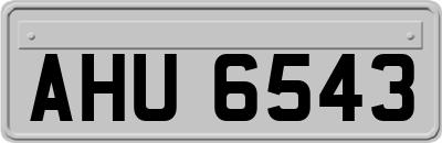 AHU6543