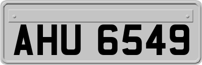 AHU6549