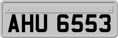 AHU6553