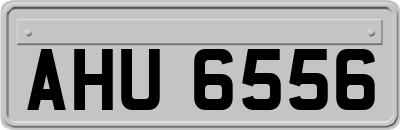AHU6556