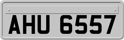 AHU6557