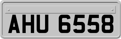 AHU6558