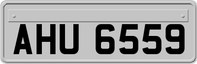 AHU6559