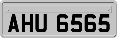 AHU6565