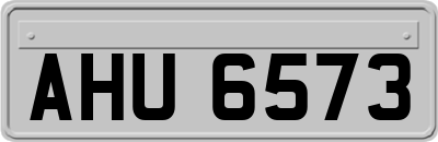 AHU6573