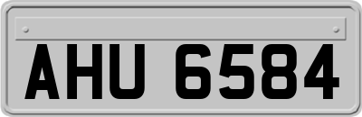 AHU6584