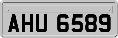 AHU6589