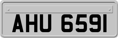 AHU6591