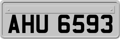 AHU6593