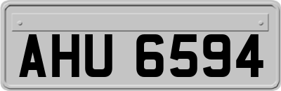 AHU6594