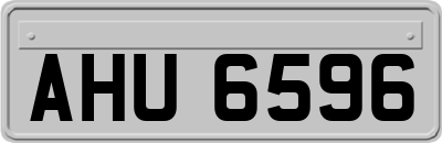 AHU6596