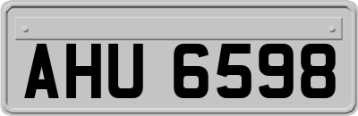 AHU6598