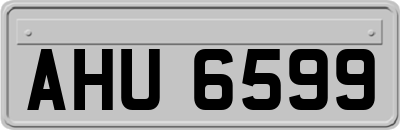 AHU6599